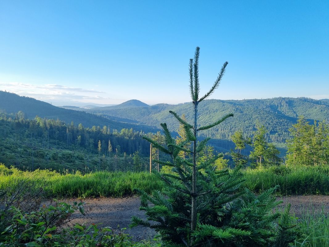 Beskid Żywiecki